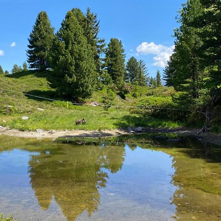 Landhaus Rieder Im Zillertal Leilighet Aschau Im Zillertal Eksteriør bilde