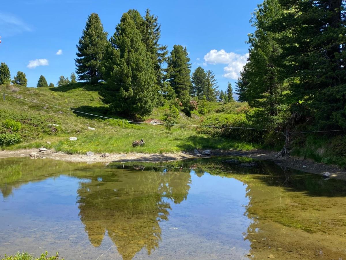 Landhaus Rieder Im Zillertal Leilighet Aschau Im Zillertal Eksteriør bilde